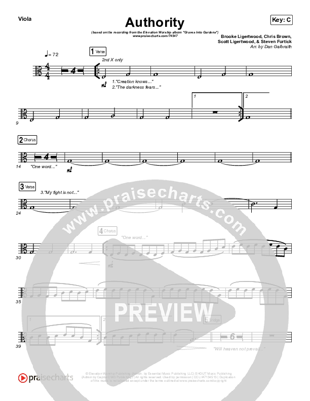 Authority Viola (Elevation Worship)