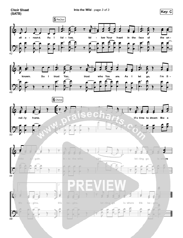 Into The Wild Choir Sheet (SATB) (Josh Baldwin)