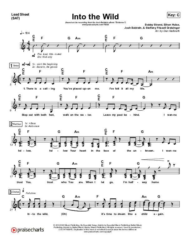 Into The Wild Lead Sheet (SAT) (Josh Baldwin)