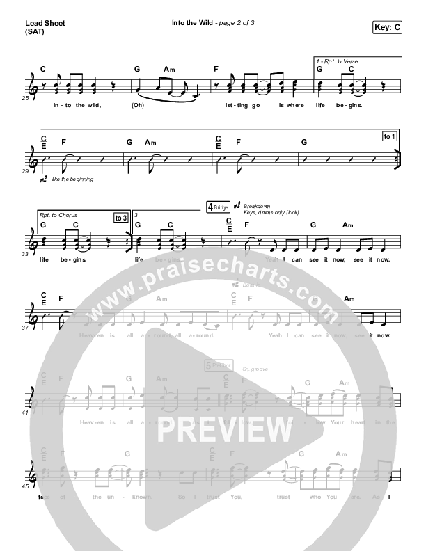 Into The Wild Lead Sheet (SAT) (Josh Baldwin)