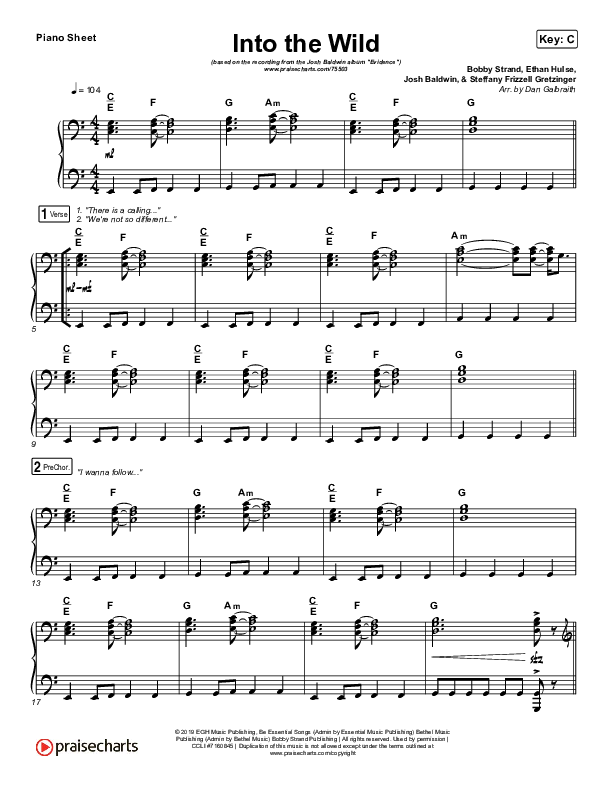 Into The Wild Piano Sheet (Josh Baldwin)