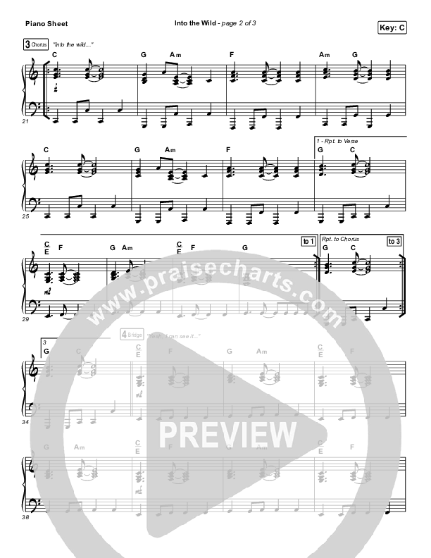 Into The Wild Piano Sheet (Josh Baldwin)