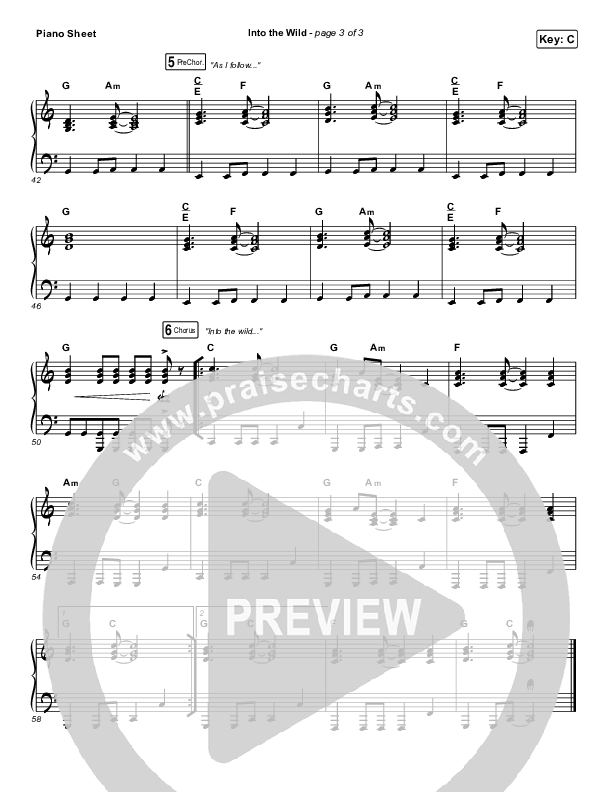 Into The Wild Piano Sheet (Josh Baldwin)