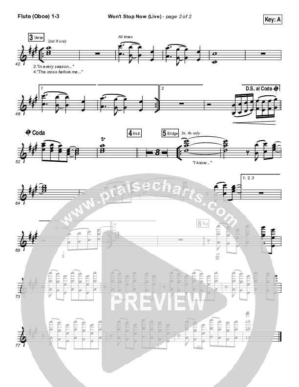 Won't Stop Now (Live) Wind Pack (Elevation Worship / Brandon Lake)