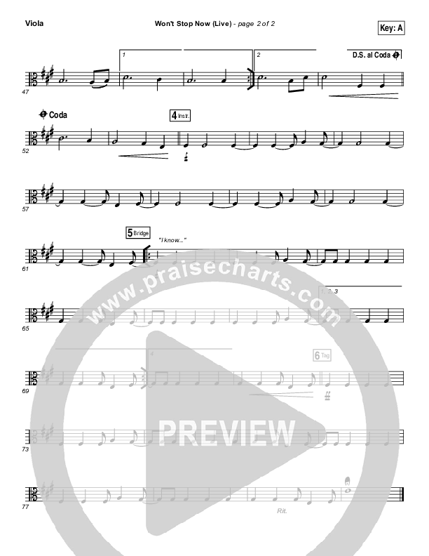 Won't Stop Now (Live) Viola (Elevation Worship / Brandon Lake)