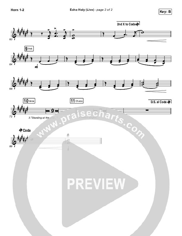 Echo Holy French Horn 1/2 (Red Rocks Worship)