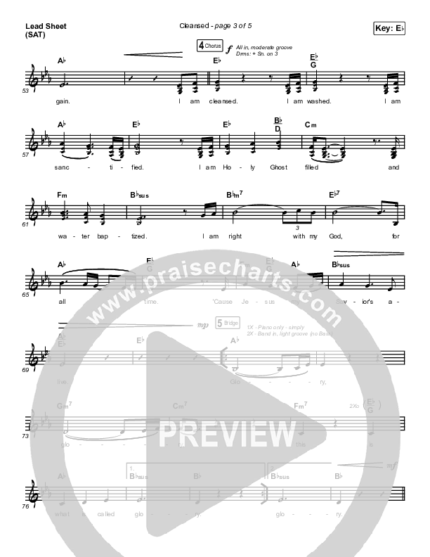 Cleansed Lead Sheet (SAT) (Charity Gayle)