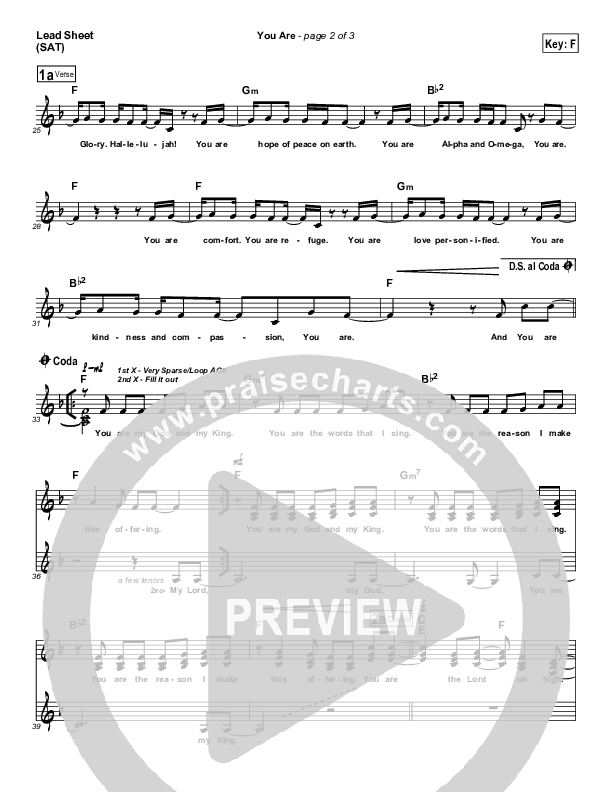 You Are Lead (SAT) (Mark Roach)