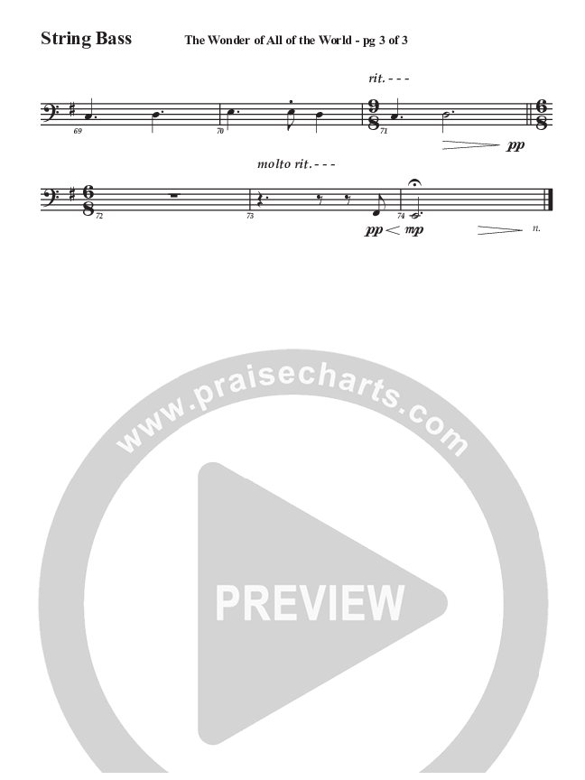 The Wonder Of All The World Double Bass (Aaron Stewart)