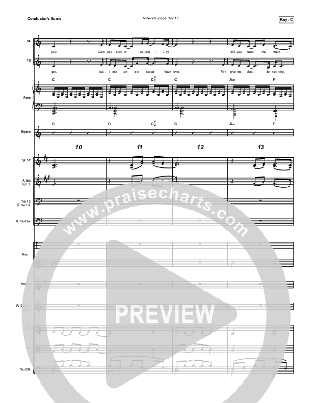 Nineveh Conductor's Score (Brooke Ligertwood)