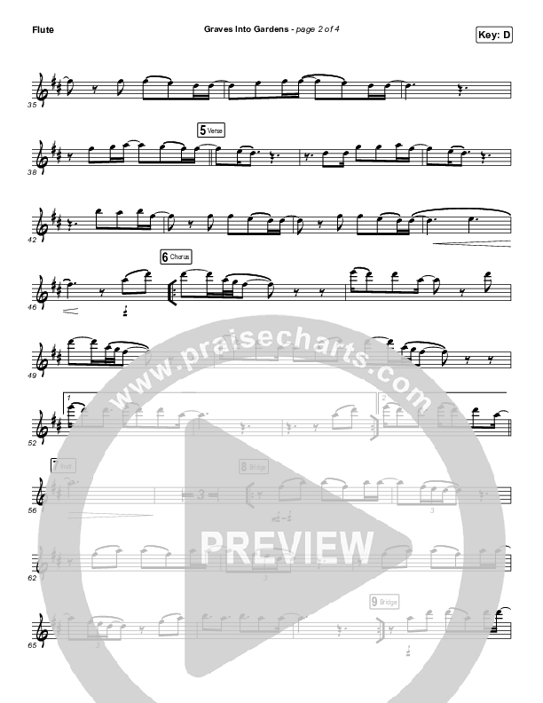 Graves Into Gardens (Instrument Solo) Flute Solo (Elevation Worship / Brandon Lake)