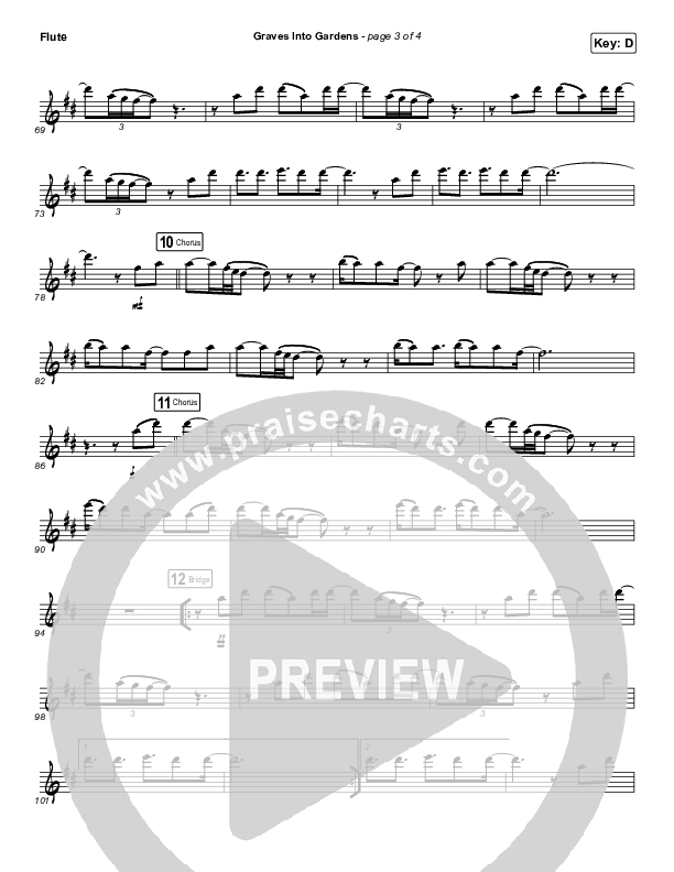 Graves Into Gardens (Instrument Solo) Flute Solo (Elevation Worship / Brandon Lake)