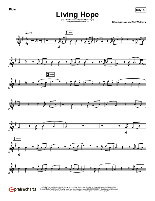 Living Hope (Instrument Solo) Flute Solo (Phil Wickham)