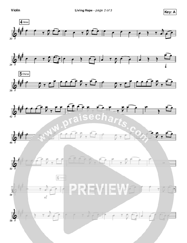 Living Hope (Instrument Solo) Violin Solo (Phil Wickham)