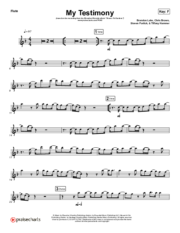 My Testimony (Instrument Solo) Flute Solo (Elevation Worship)