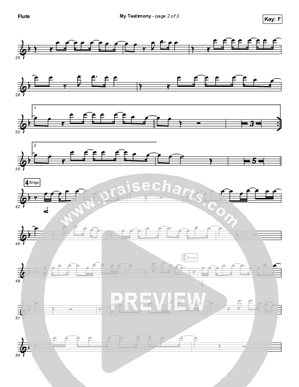 My Testimony (Instrument Solo) Flute Solo (Elevation Worship)