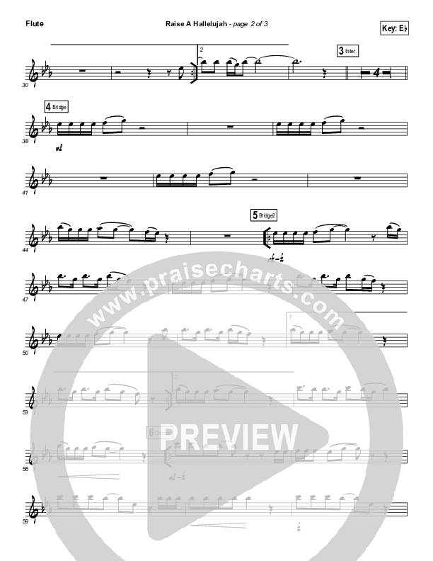 Raise A Hallelujah (Instrument Solo) Flute Solo (Bethel Music / Melissa Helser / Jonathan David Helser)