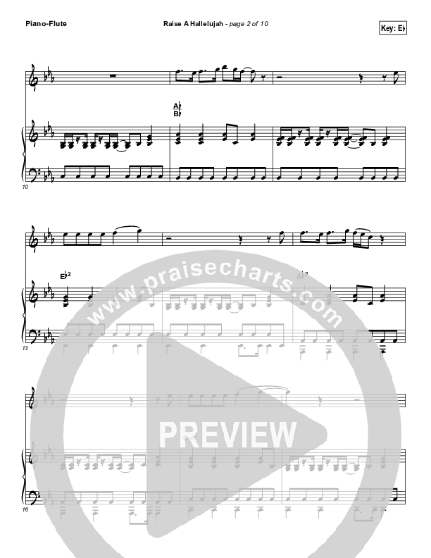 Raise A Hallelujah (Instrument Solo) Flute & Piano (Bethel Music / Melissa Helser / Jonathan David Helser)