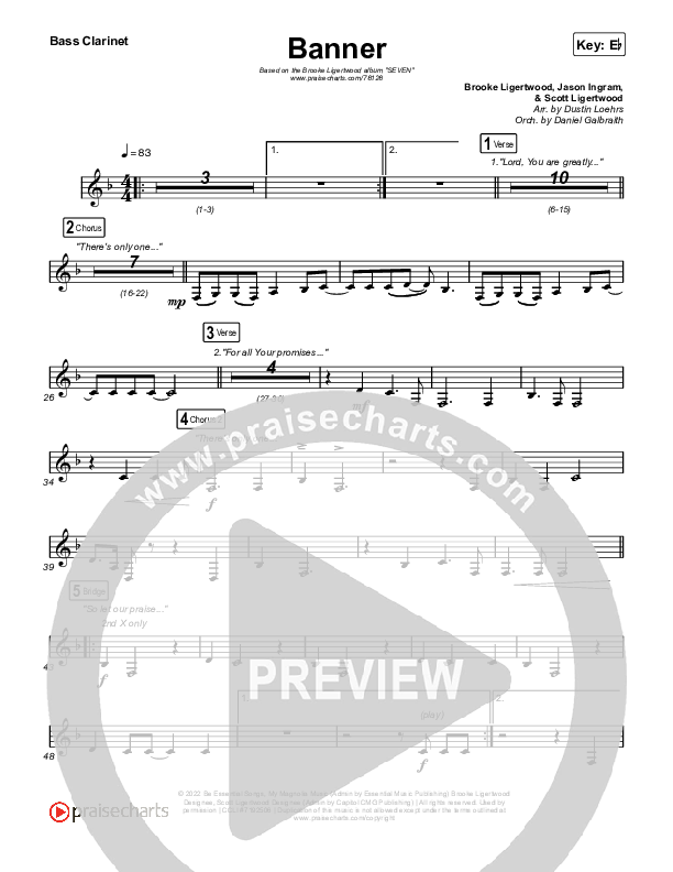 Banner Bass Clarinet (Brooke Ligertwood)