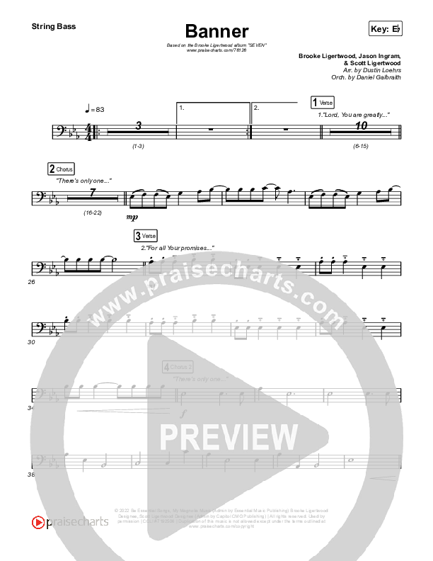 Banner Double Bass (Brooke Ligertwood)