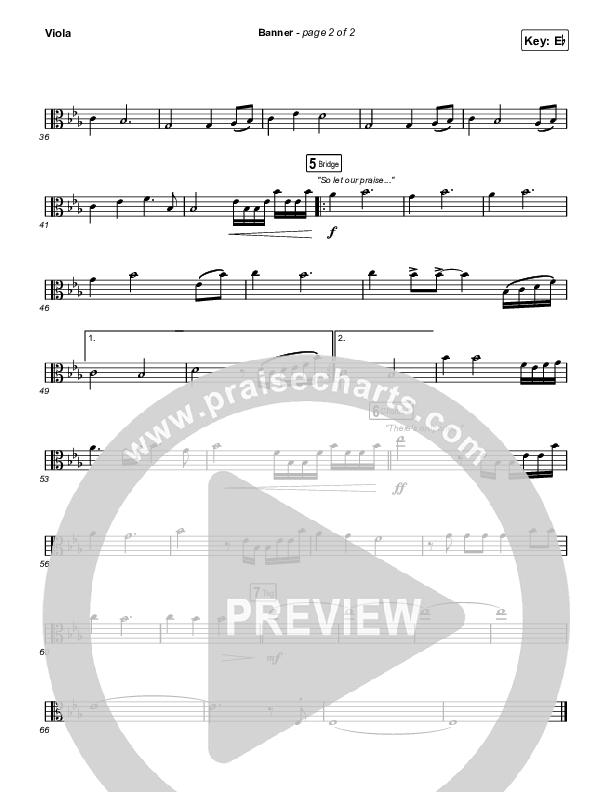 Banner Viola (Brooke Ligertwood)