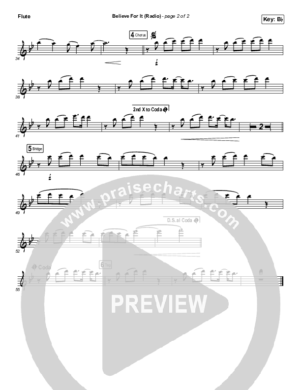 Believe For It (Instrument Solo) Flute Solo (CeCe Winans)