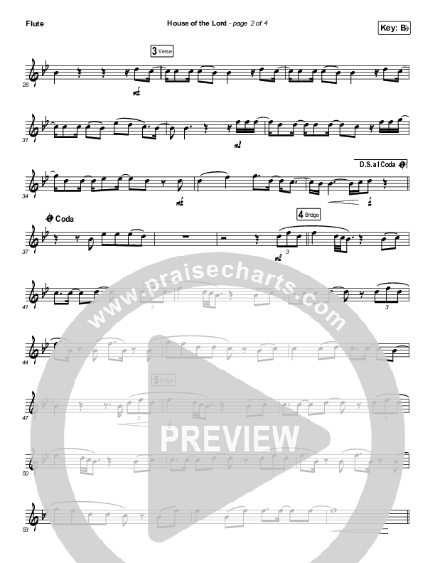 House Of The Lord (Instrument Solo) Flute Solo (Phil Wickham)