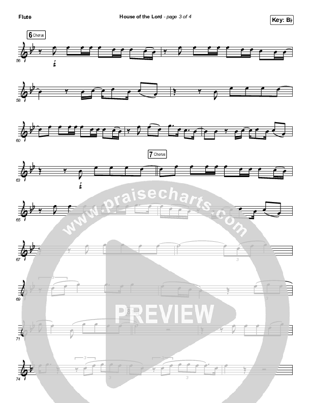 House Of The Lord (Instrument Solo) Flute Solo (Phil Wickham)