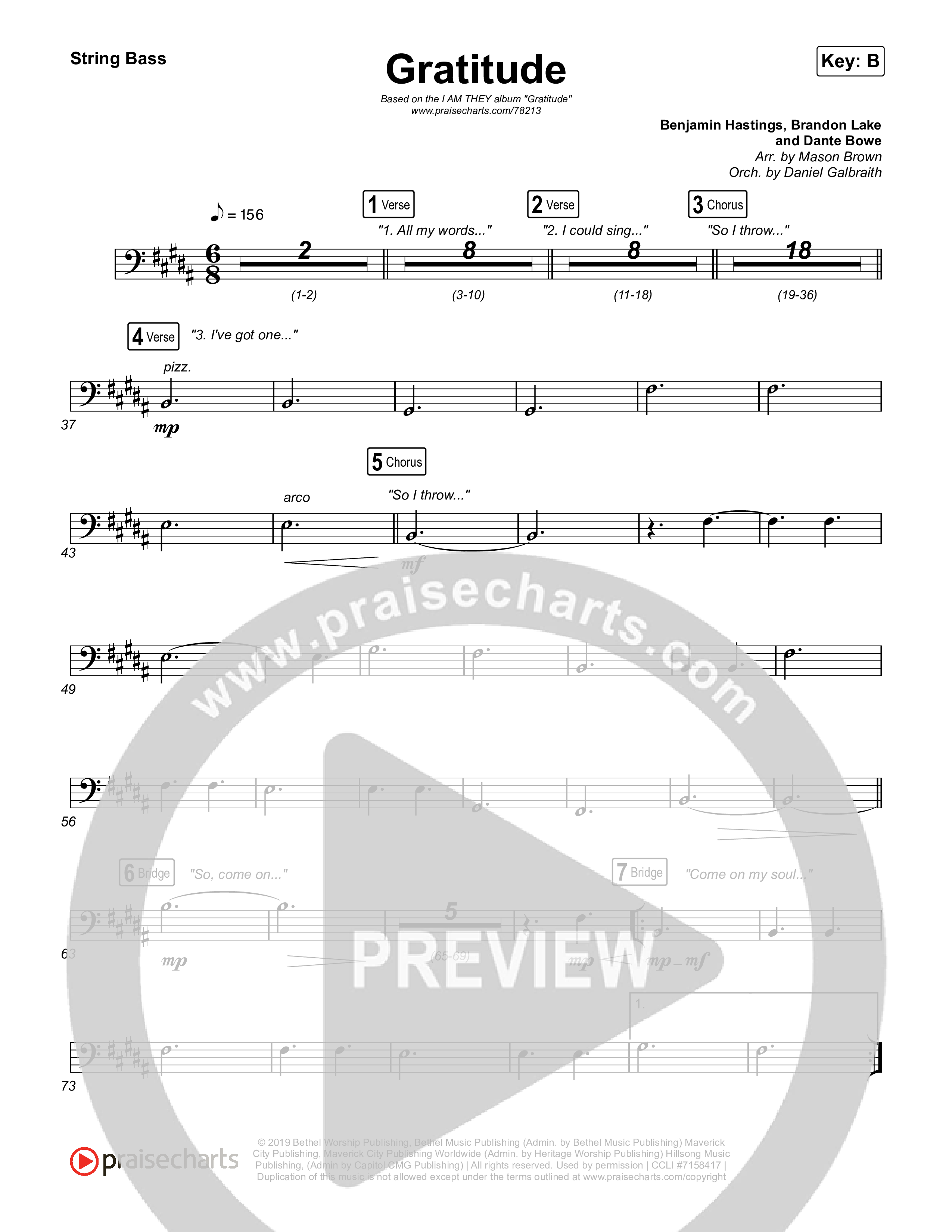 Gratitude String Bass (I Am They / Cheyenne Mitchell)