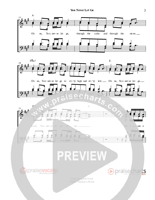 You Never Let Go Lead Sheet (SAT) (PraiseVocals)