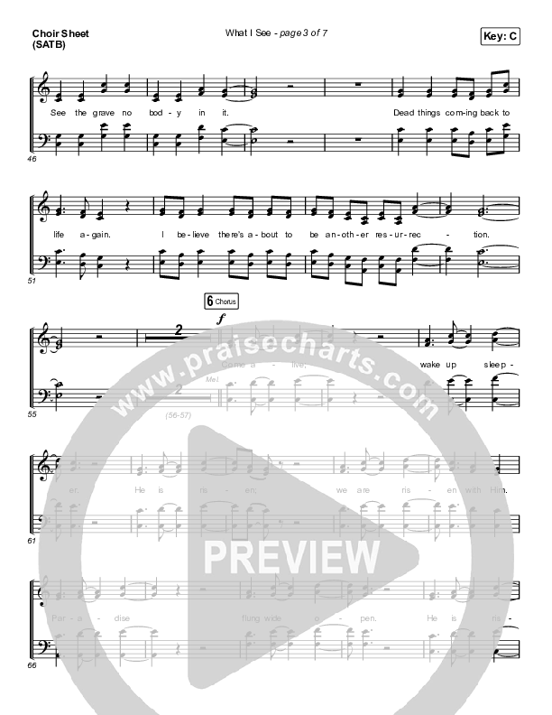What I See (Choral Anthem SATB) Choir Vocals (SATB) (Elevation Worship / Arr. Mason Brown)