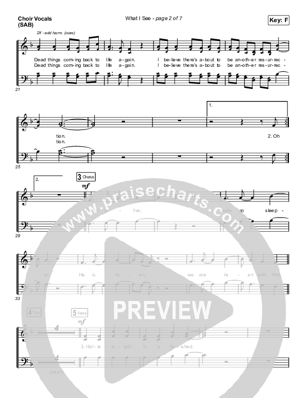 What I See (Worship Choir SAB) Choir Sheet (SAB) (Elevation Worship / Chris Brown / Arr. Mason Brown)