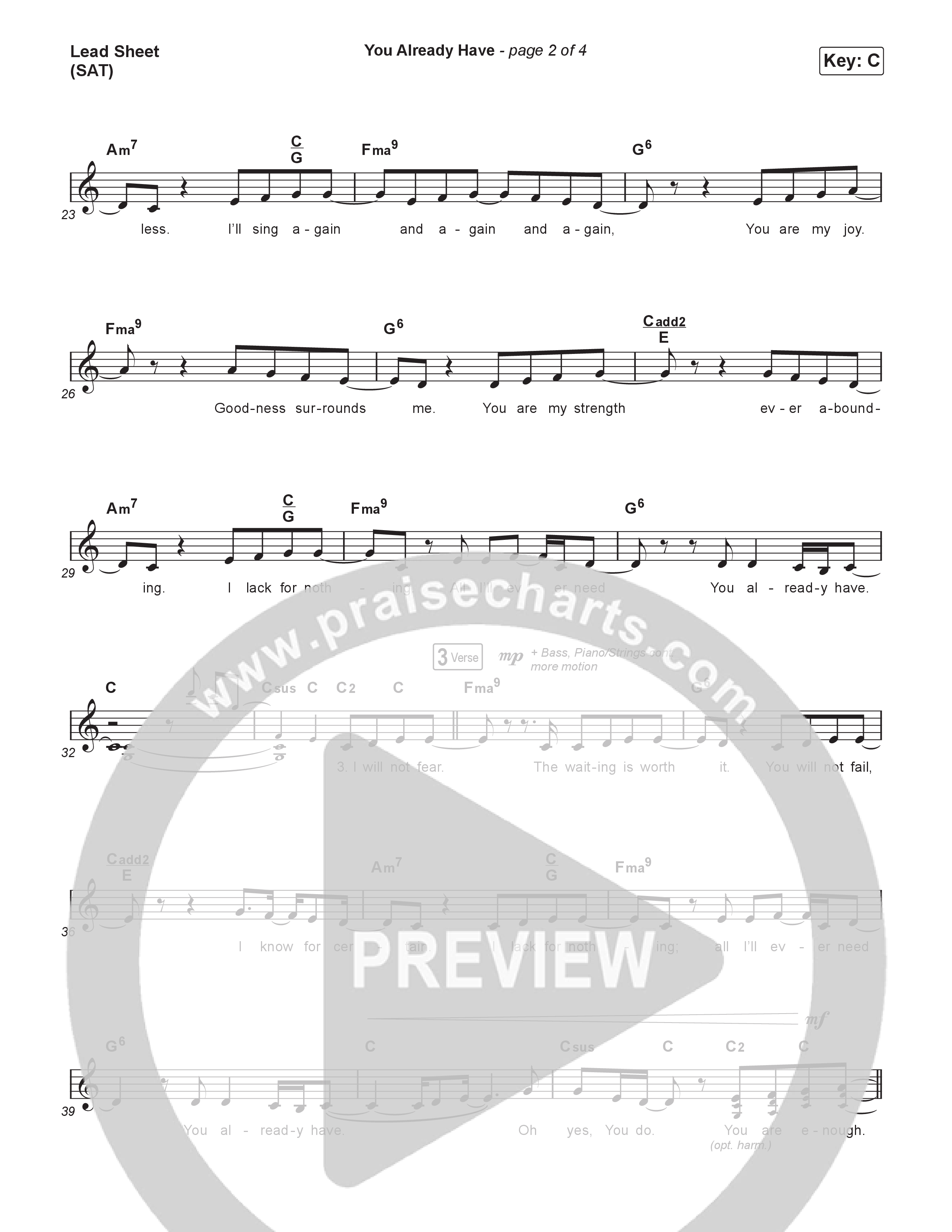 You Already Have Lead Sheet (SAT) (Andrea Olson)