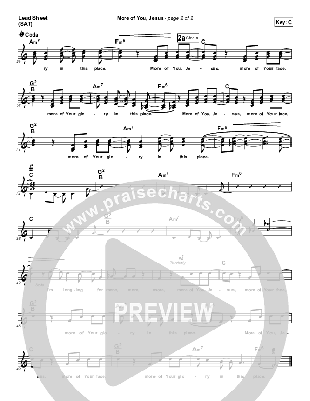 More Of You Jesus Lead (SAT) (Pocket Full Of Rocks)