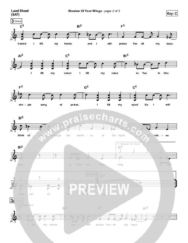 Shadow Of Your Wings Lead Sheet (Casting Crowns)