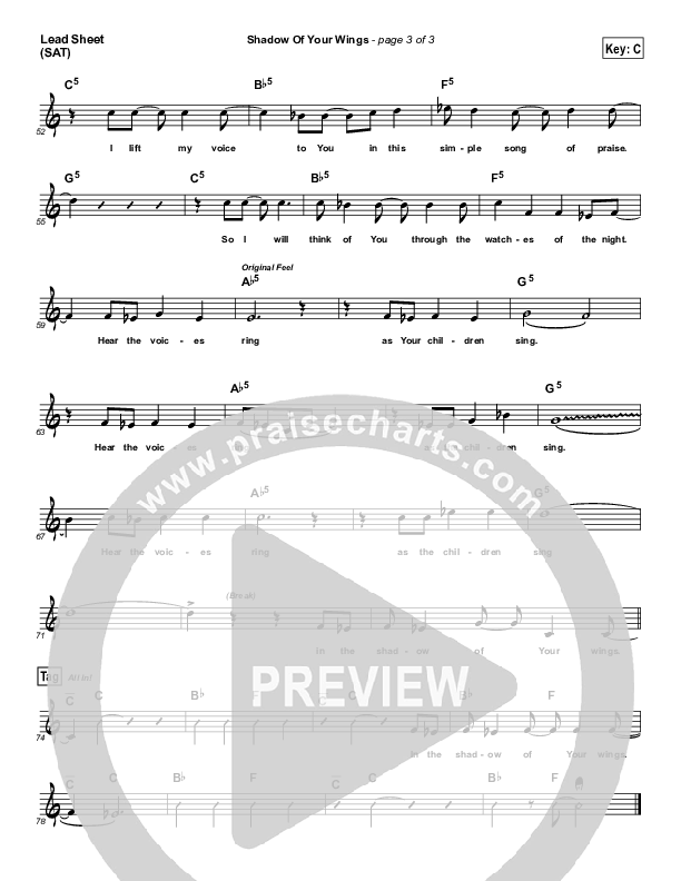 Shadow Of Your Wings Lead Sheet (Casting Crowns)