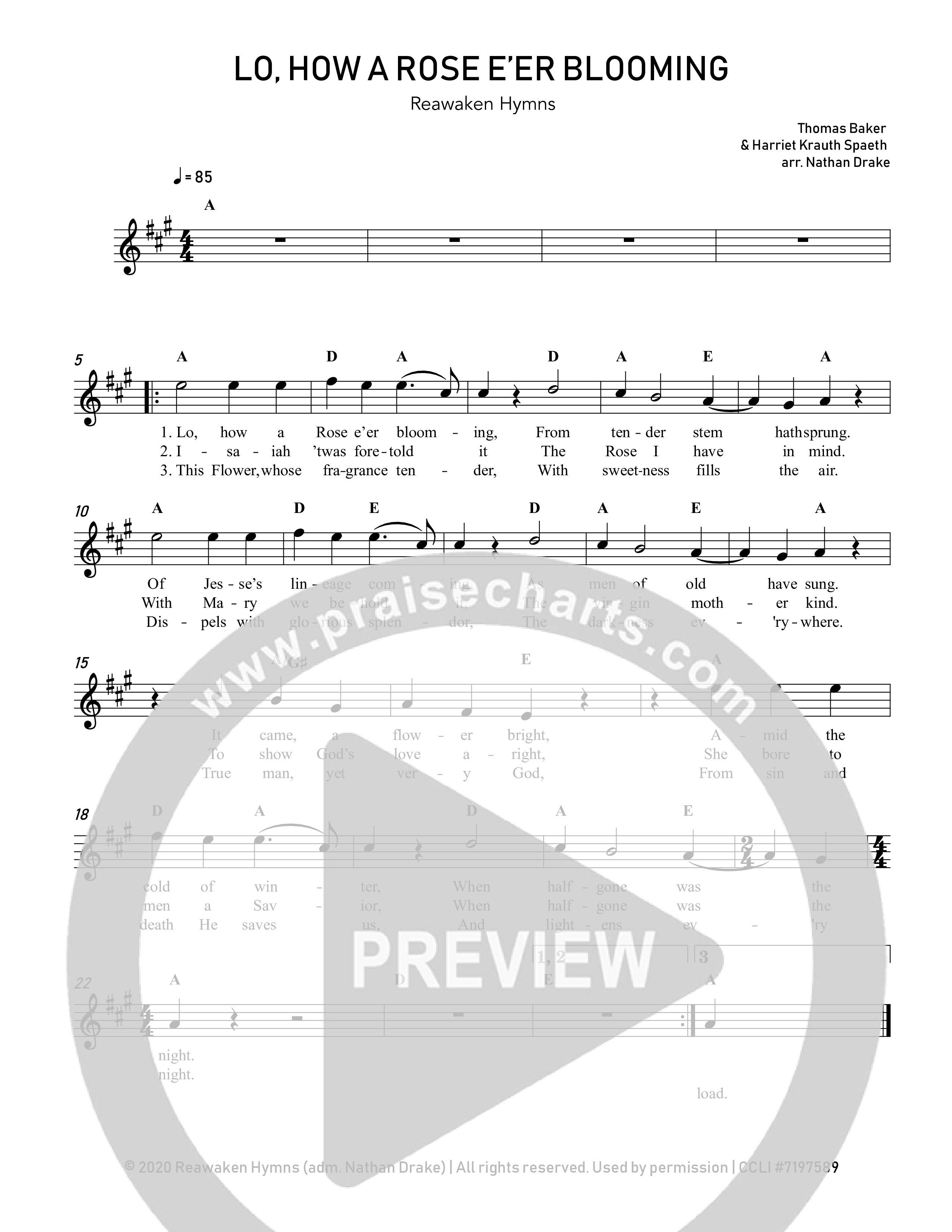 Lo How A Rose E'er Blooming Lead Sheet Melody (Reawaken Hymns)