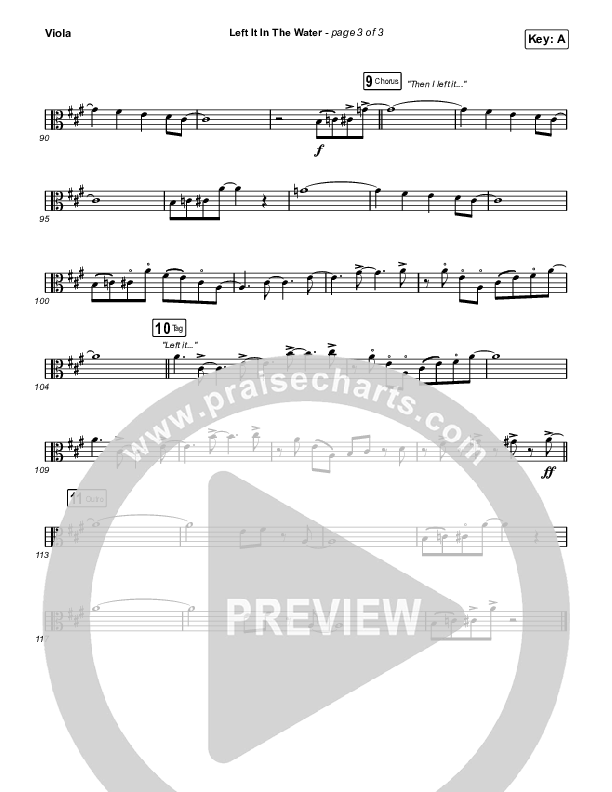 Left It In The Water Viola (We The Kingdom)