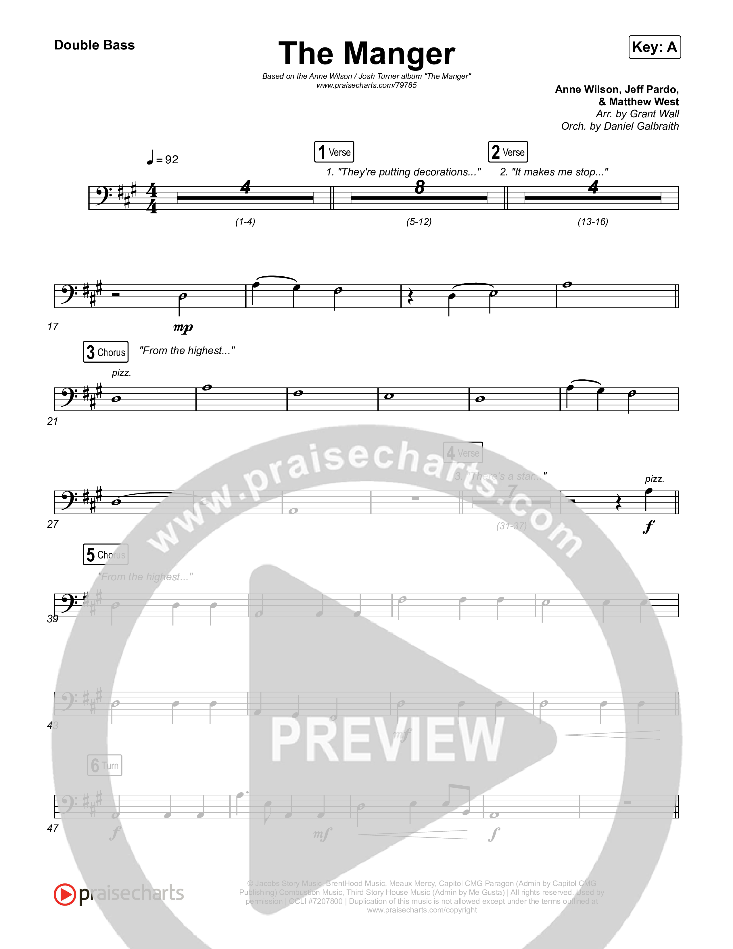 The Manger String Bass (Anne Wilson)