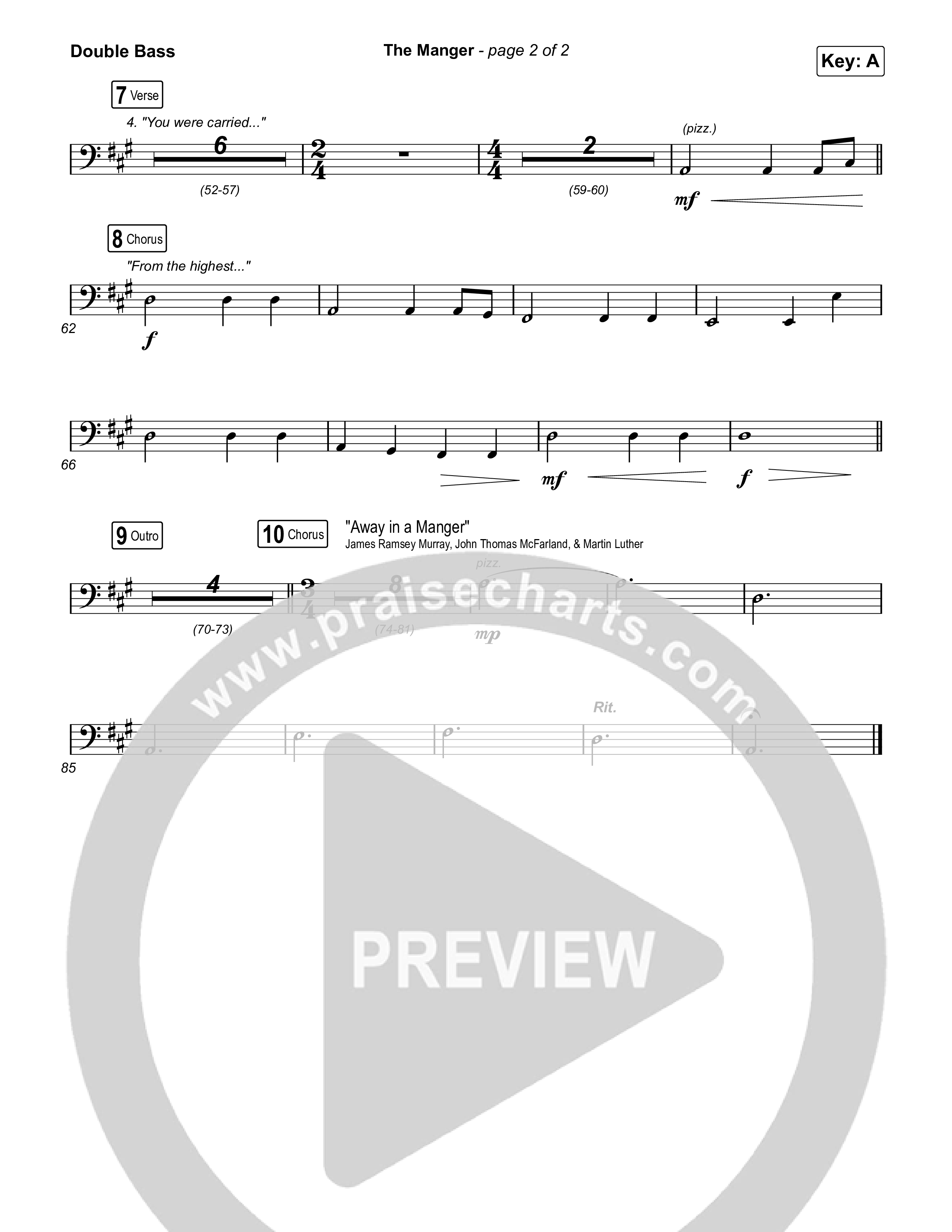 The Manger String Bass (Anne Wilson)