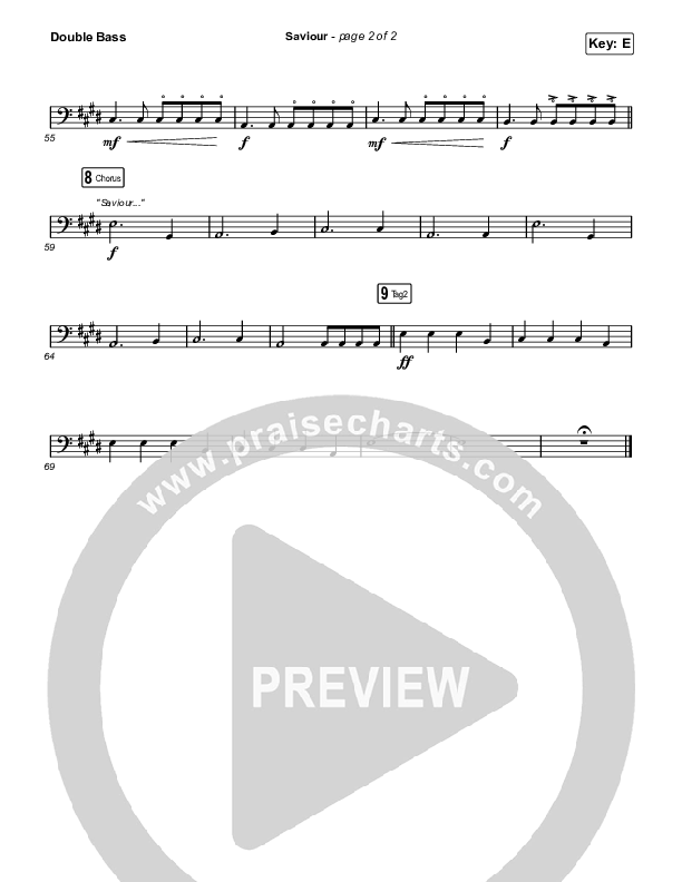 Saviour Double Bass (We Are Messengers)