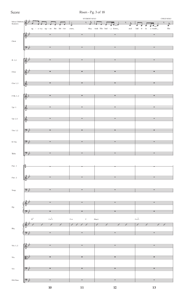 Risen (Choral Anthem SATB) Conductor's Score (Lifeway Choral / Arr. Craig Adams / Arr. Ken Barker / Arr. Danny Zaloudik)