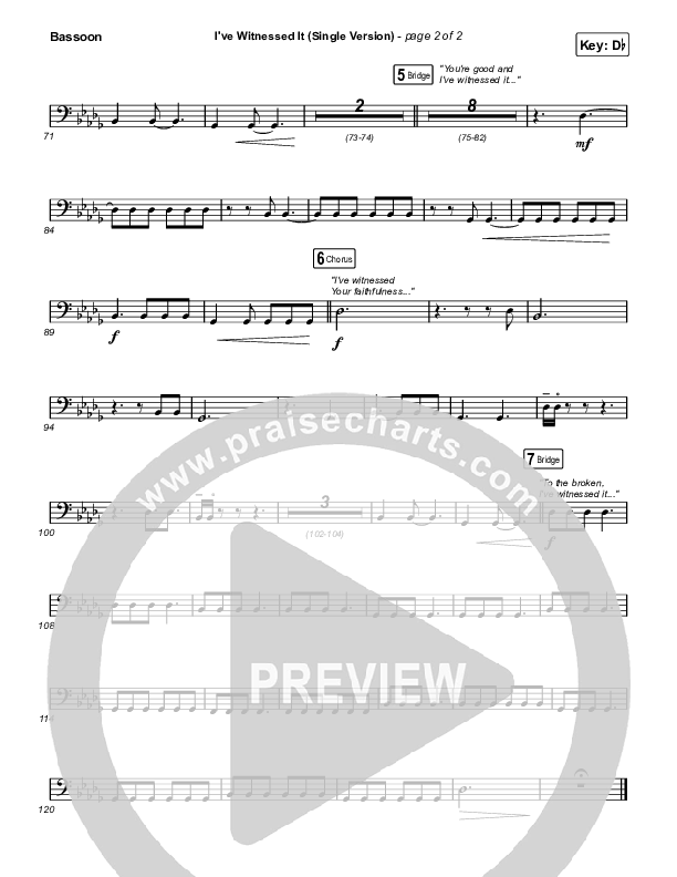 I've Witnessed It (Single) Bassoon (Passion / Melodie Malone)