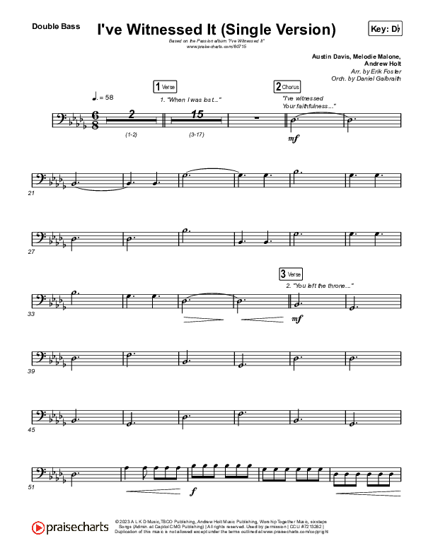 I've Witnessed It (Single) Double Bass (Passion / Melodie Malone)