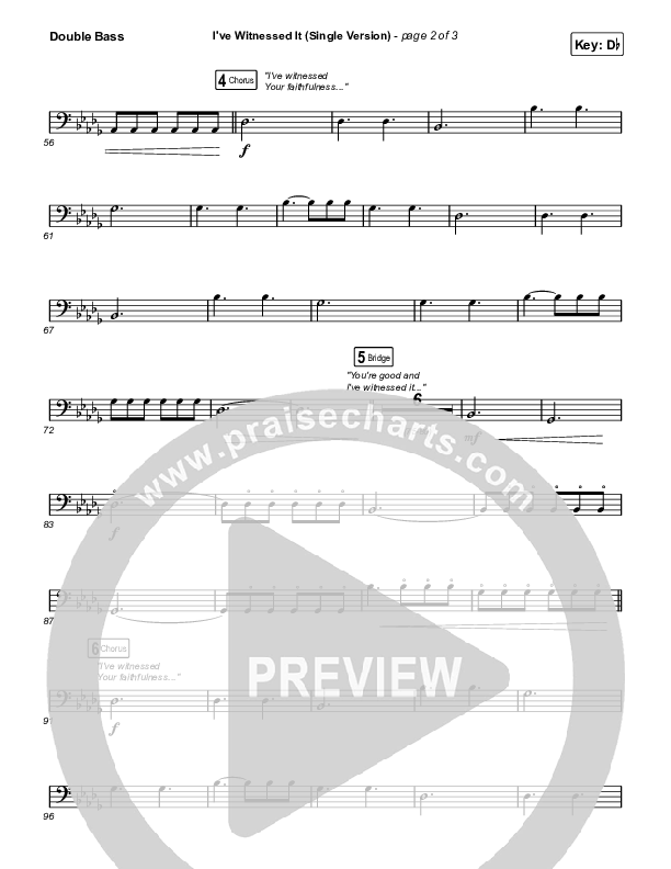 I've Witnessed It (Single) Double Bass (Passion / Melodie Malone)