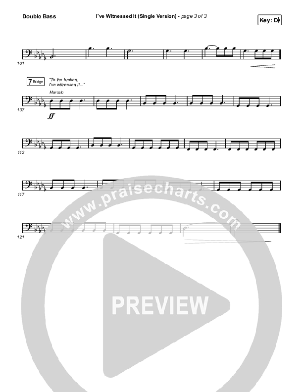 I've Witnessed It (Single) Double Bass (Passion / Melodie Malone)