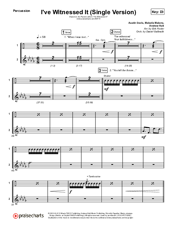 I've Witnessed It (Single) Percussion (Passion / Melodie Malone)
