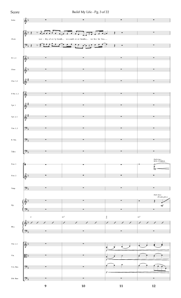 Build My Life (Choral Anthem SATB) Orchestration (Lifeway Choral / Arr. Ken Barker / Arr. Craig Adams / Arr. Danny Zaloudik)