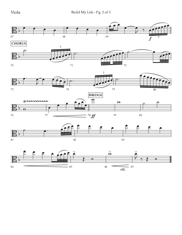 Build My Life (Choral Anthem SATB) Viola (Lifeway Choral / Arr. Ken Barker / Arr. Craig Adams / Arr. Danny Zaloudik)