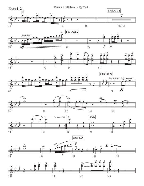 Raise A Hallelujah (Choral Anthem SATB) Flute 1/2 (Lifeway Choral / Arr. Craig Adams / Arr. Ken Barker / Arr. Danny Zaloudik)